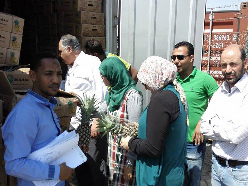 التدريب على اجراءات فحص الواردات للسلع الغذائية